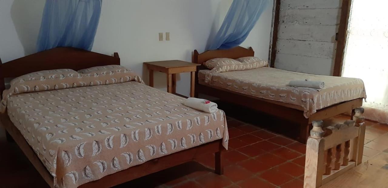 Centro Ecoturistico Ya'Ajche Hotel ลาคานฮา ภายนอก รูปภาพ