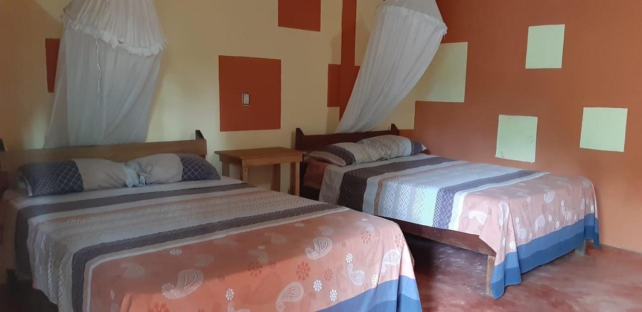 Centro Ecoturistico Ya'Ajche Hotel ลาคานฮา ภายนอก รูปภาพ