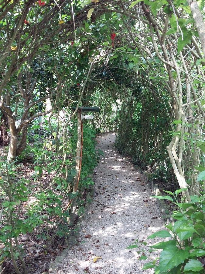 Centro Ecoturistico Ya'Ajche Hotel ลาคานฮา ภายนอก รูปภาพ